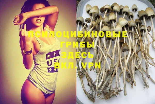 спайс Великий Новгород