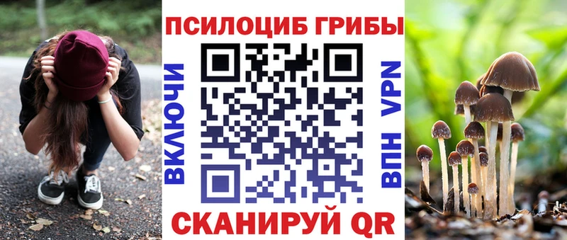 где продают   Емва  kraken как войти  Галлюциногенные грибы Magic Shrooms 